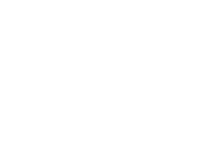 Maintenance Cluster logo white